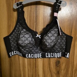Torrid Cacique Black and White Lace Bra